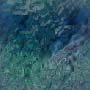 Textures 419
